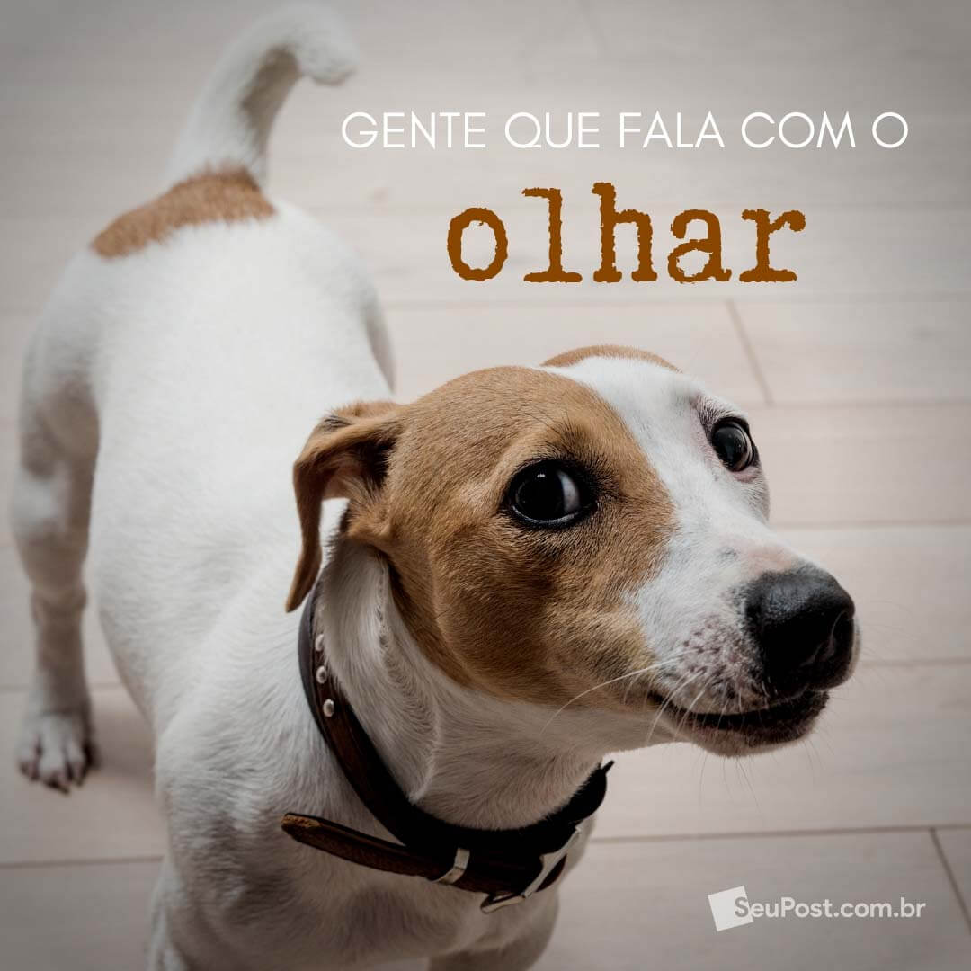 olhar