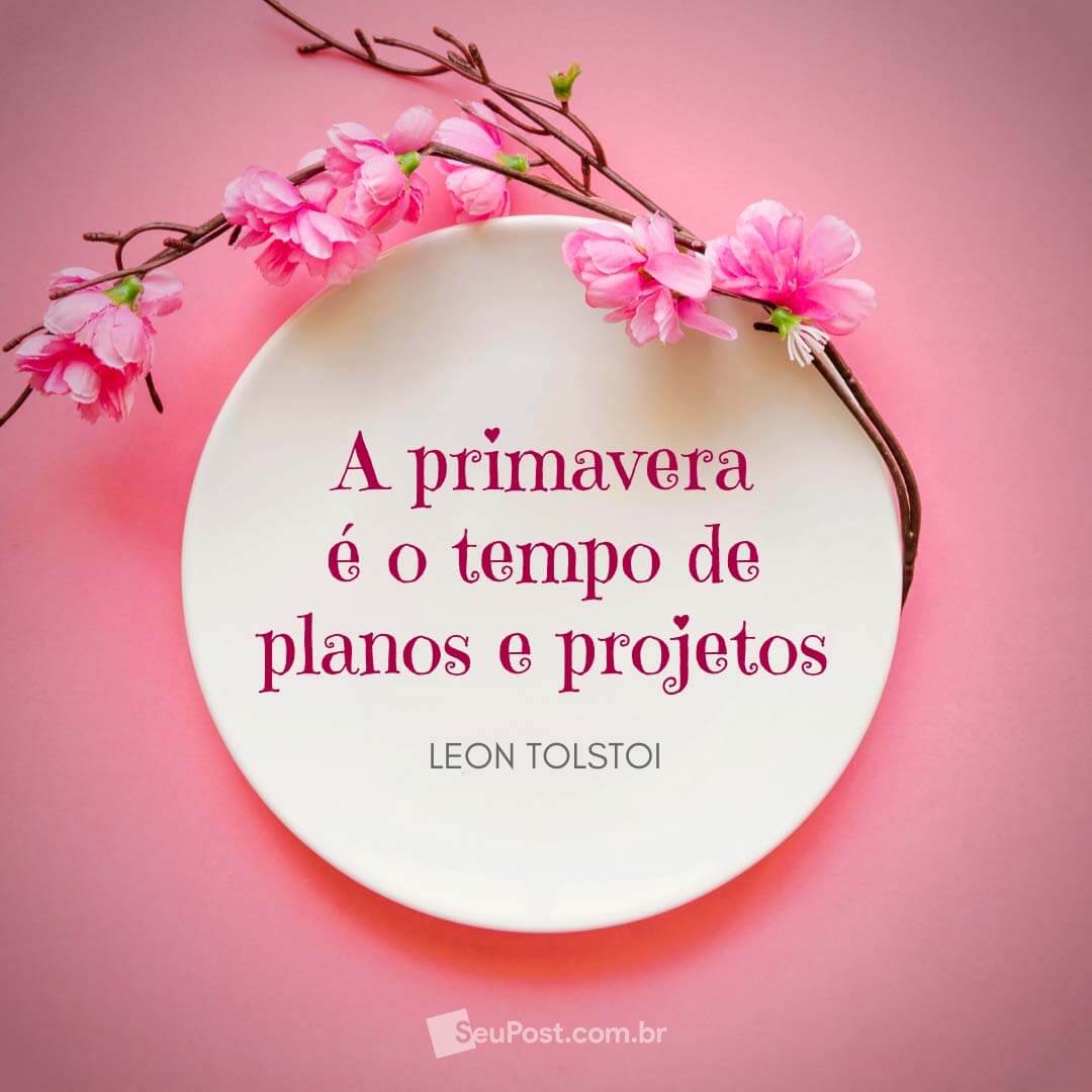 planos e projetos