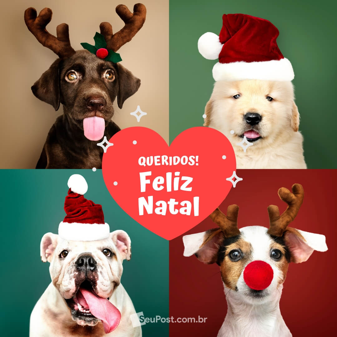 Queridos, Feliz Natal!