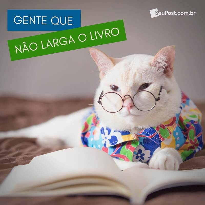 Gente que não larga o livro