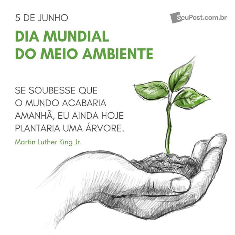 Dia Mundial do Meio Ambiente