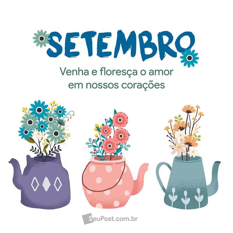 Setembro, venha e floresça o amor em nossos corações